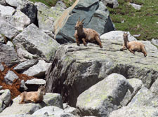 Vallée des Merveilles avec les Guides des Merveilles