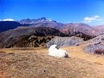 Vallée des Merveilles avec les Guides des Merveilles