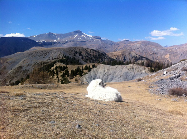 2 jours de Randonnée dans le Mercantour