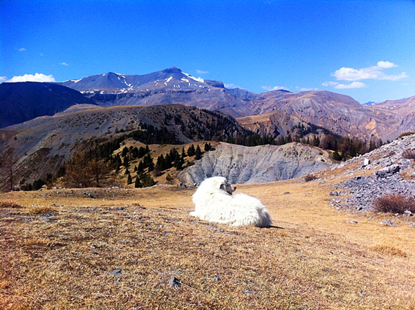 2 jours de Randonnée dans le Mercantour