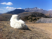 2 jours de Randonnée dans le Mercantour