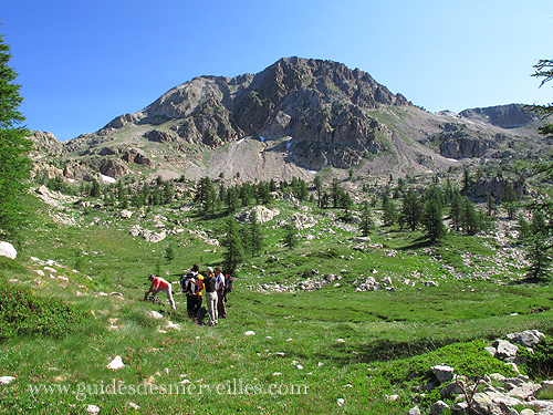 lacs glaciaires du Mercantour