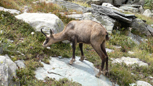 Vallée des Merveilles avec les Guides des Merveilles