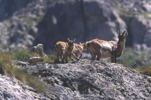 Vallée des Merveilles avec les Guides des Merveilles