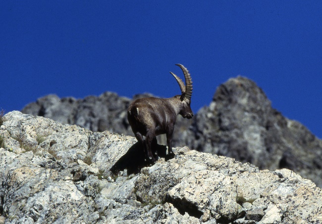 Vallée des Merveilles avec les Guides des Merveilles